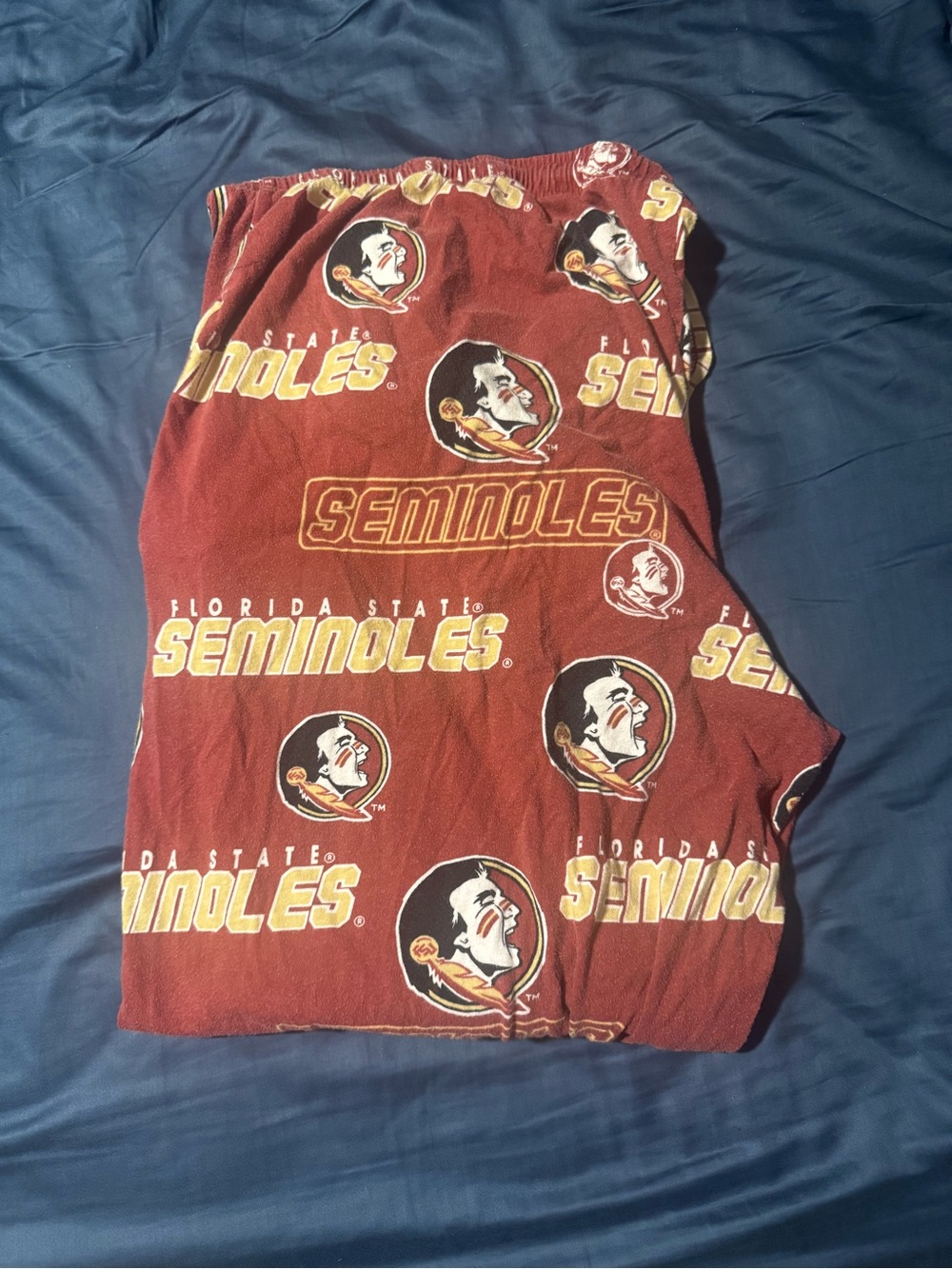 Y2K Florida State Seminoles Logo Lounge Pants